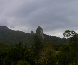 The Strange Village Of Nimbin