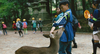 Tokyo Blues °2 :: A Japan Adventure in Photos