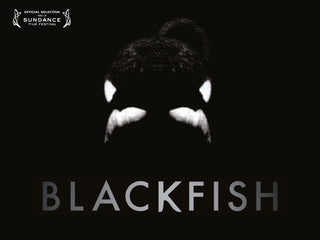 BLACKFISH