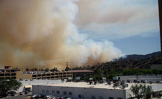 L.A. BURNING