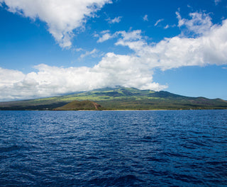 ISLAND IN THE SUN :: MAUI