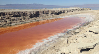 Turn Off The Sun :: Visions Of Hell From California’s Salton Sea