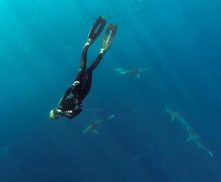 CROSS THIS OFF THE BUCKET LIST :: SHARK DIVING IN HAWAII