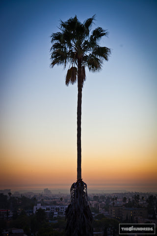 HOME ON THE ORANGE.