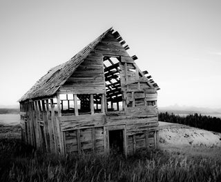 Off-the-Street :: Slow and Steady in Yellowstone